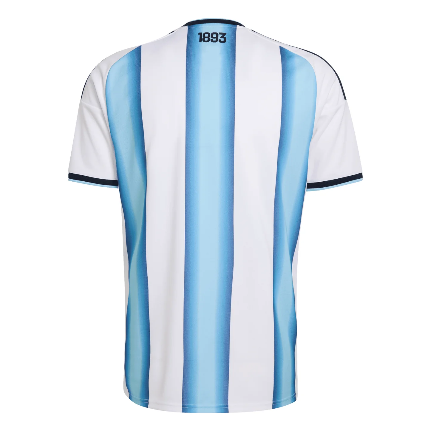 Camiseta de la Primera Equipación de argentina Local 2026 2